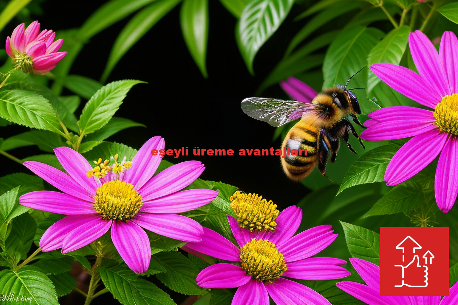 eşeyli üreme avantajları