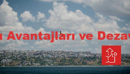 Denizyolu Avantajları ve Dezavantajları