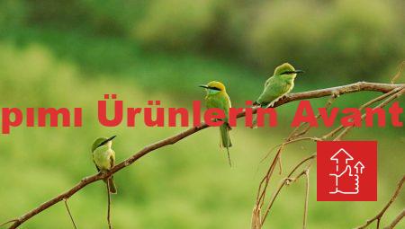 El Yapımı Ürünlerin Avantajları
