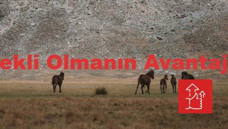Emekli Olmanın Avantajları