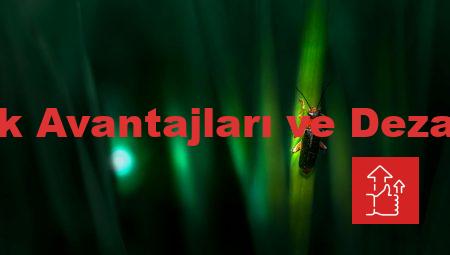 Fore Kazık Avantajları ve Dezavantajları