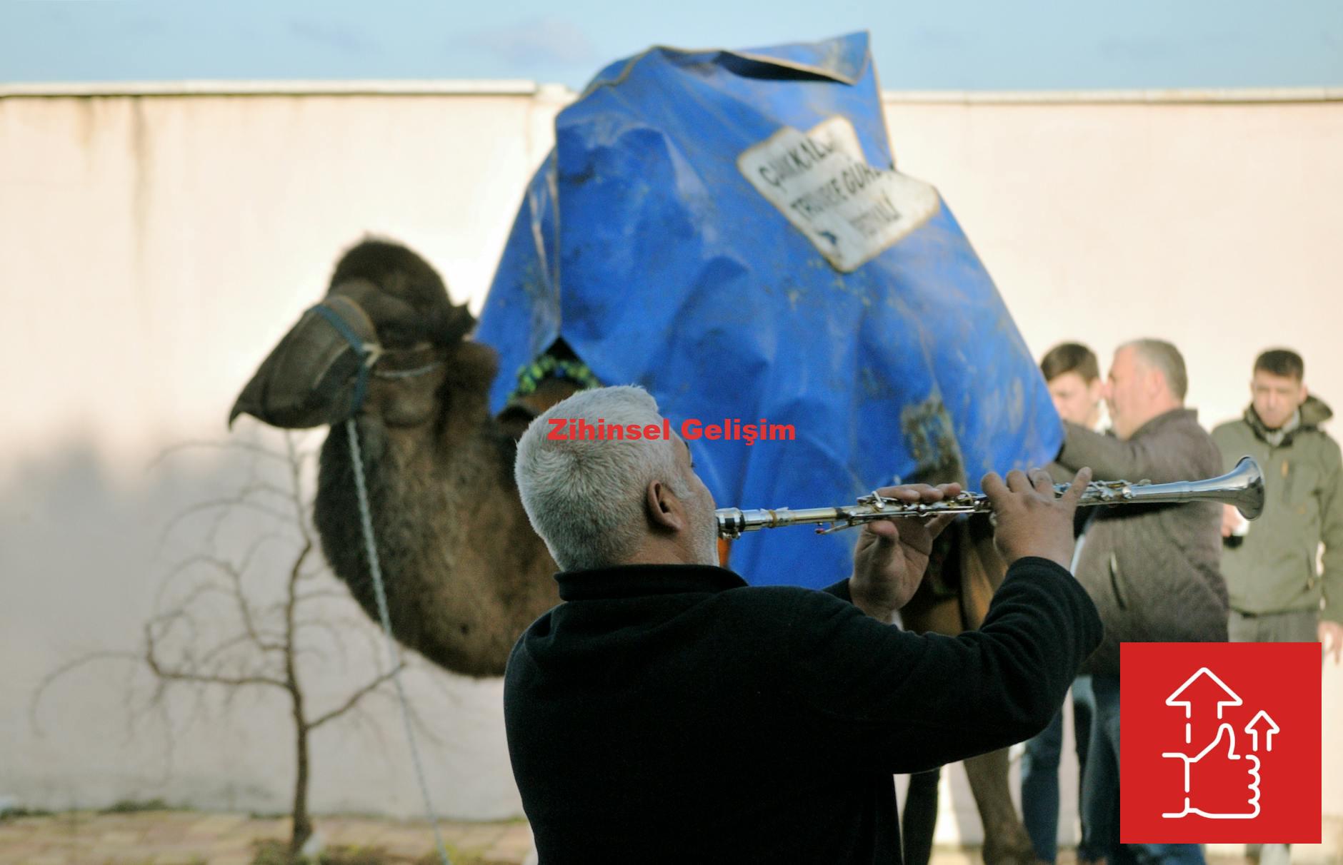 Zihinsel Gelişim