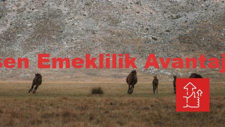 Resen Emeklilik Avantajları