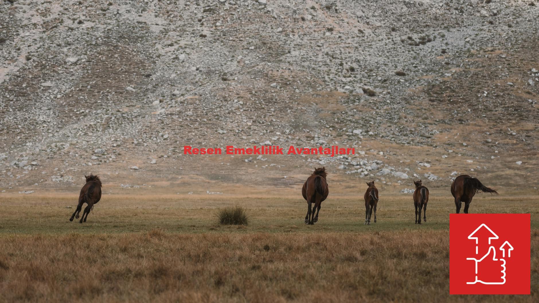 Resen Emeklilik Avantajları