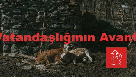 Rus Vatandaşlığının Avantajları