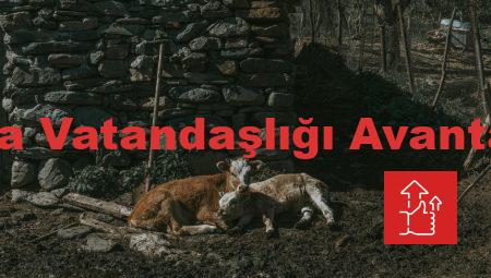 Rusya Vatandaşlığı Avantajları