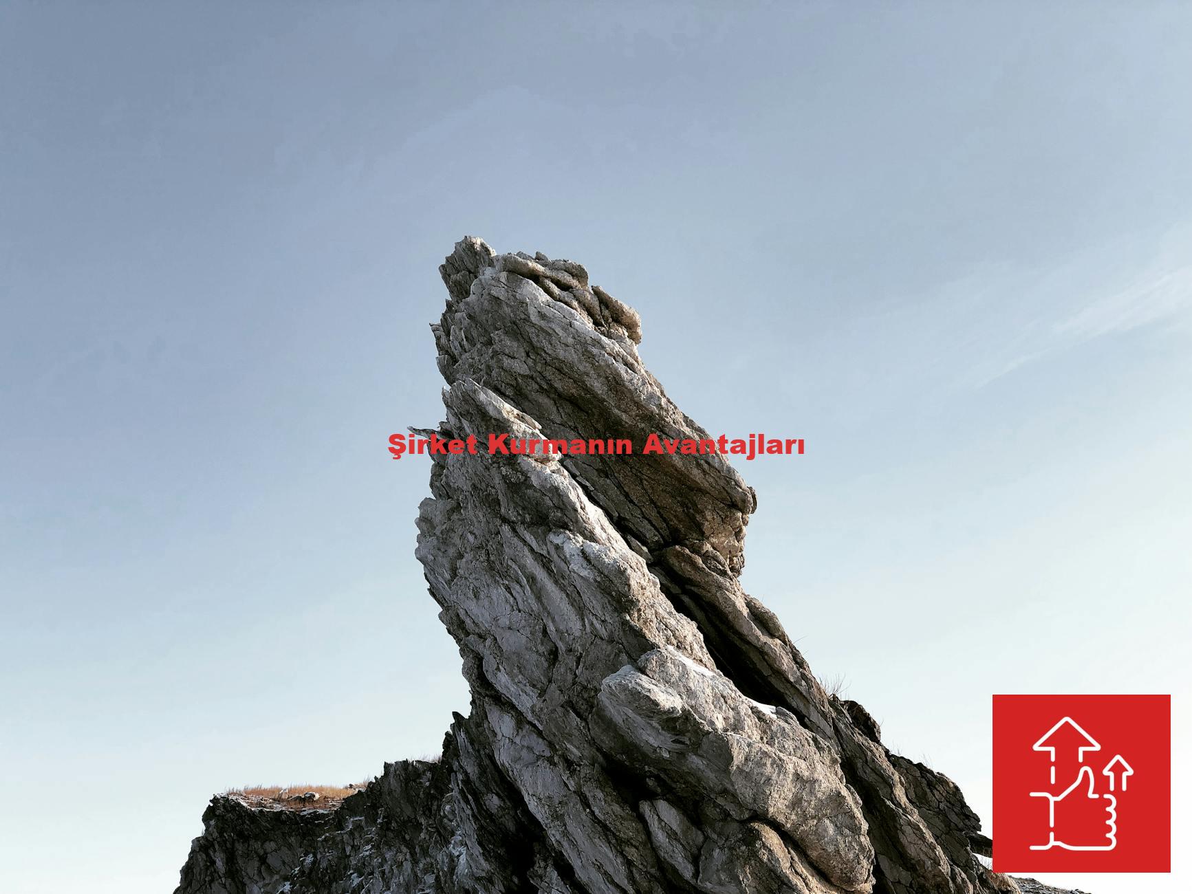 Şirket Kurmanın Avantajları