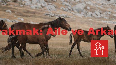 Sigarayı Bırakmak: Aile ve Arkadaş Desteği
