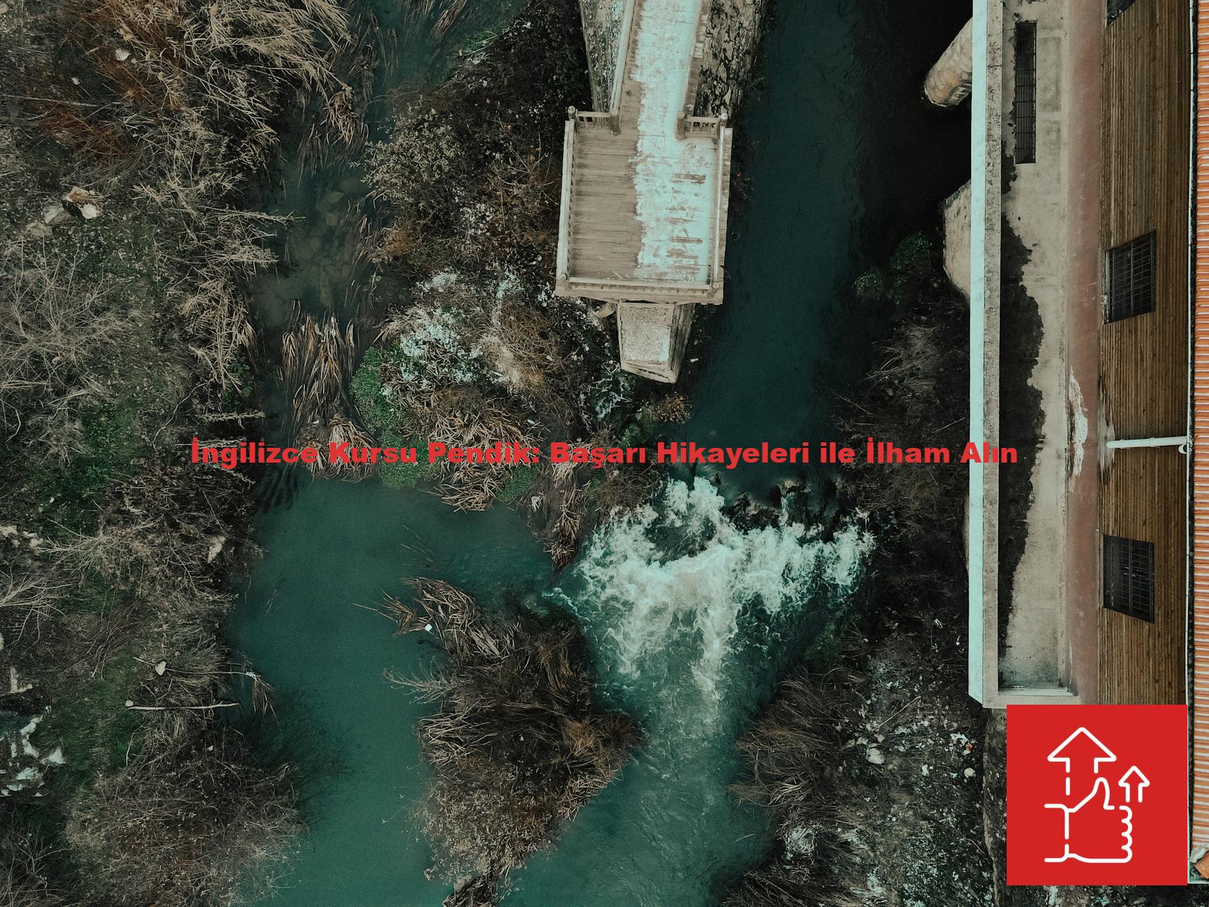 İngilizce Kursu Pendik: Başarı Hikayeleri ile İlham Alın