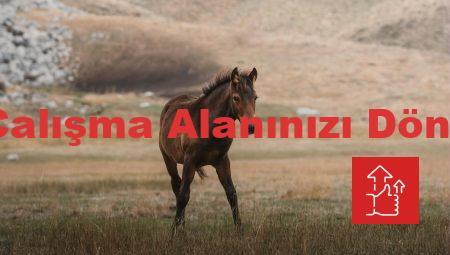 Dell ile Çalışma Alanınızı Dönüştürün!