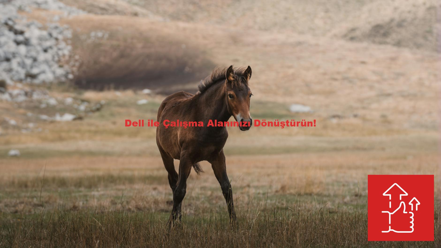 Dell ile Çalışma Alanınızı Dönüştürün!