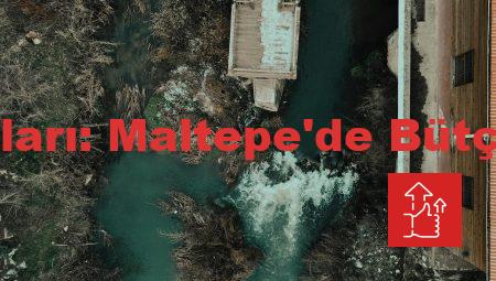 Dil Kursu Fiyatları: Maltepe’de Bütçenizi Aşmayın!