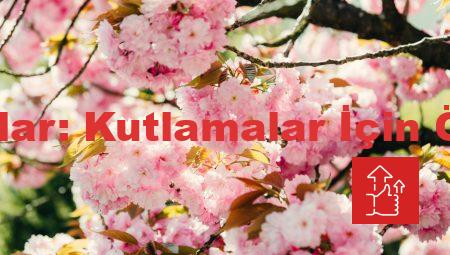 Almanca Aylar: Kutlamalar İçin Özel İfadeler