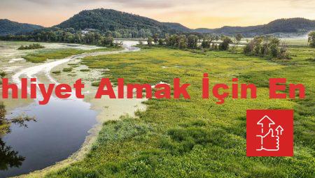 Bursa’da Ehliyet Almak İçin En İyi İpuçları