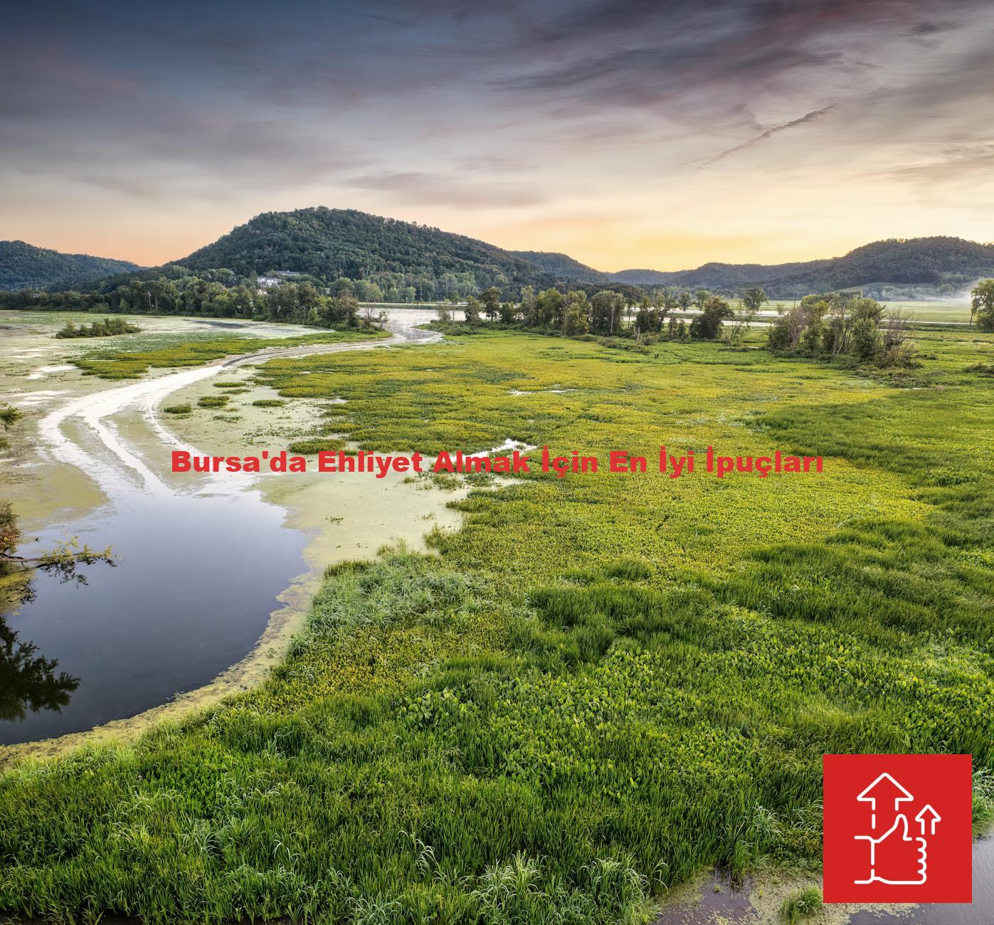 Bursa'da Ehliyet Almak İçin En İyi İpuçları