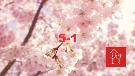 Bursa’da Çiçek Almanın Ekonomik Yolları