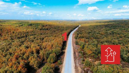 Alkol Fiyatları 2023: Cebinizi Sarsmayacak İpuçları