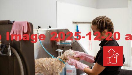 Kadıköy Veteriner Hizmetlerinde Yenilikçi Yaklaşımlar