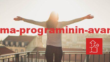 Dijital Pazarlama Programının Avantajları ile Gelirinizi Arttırın