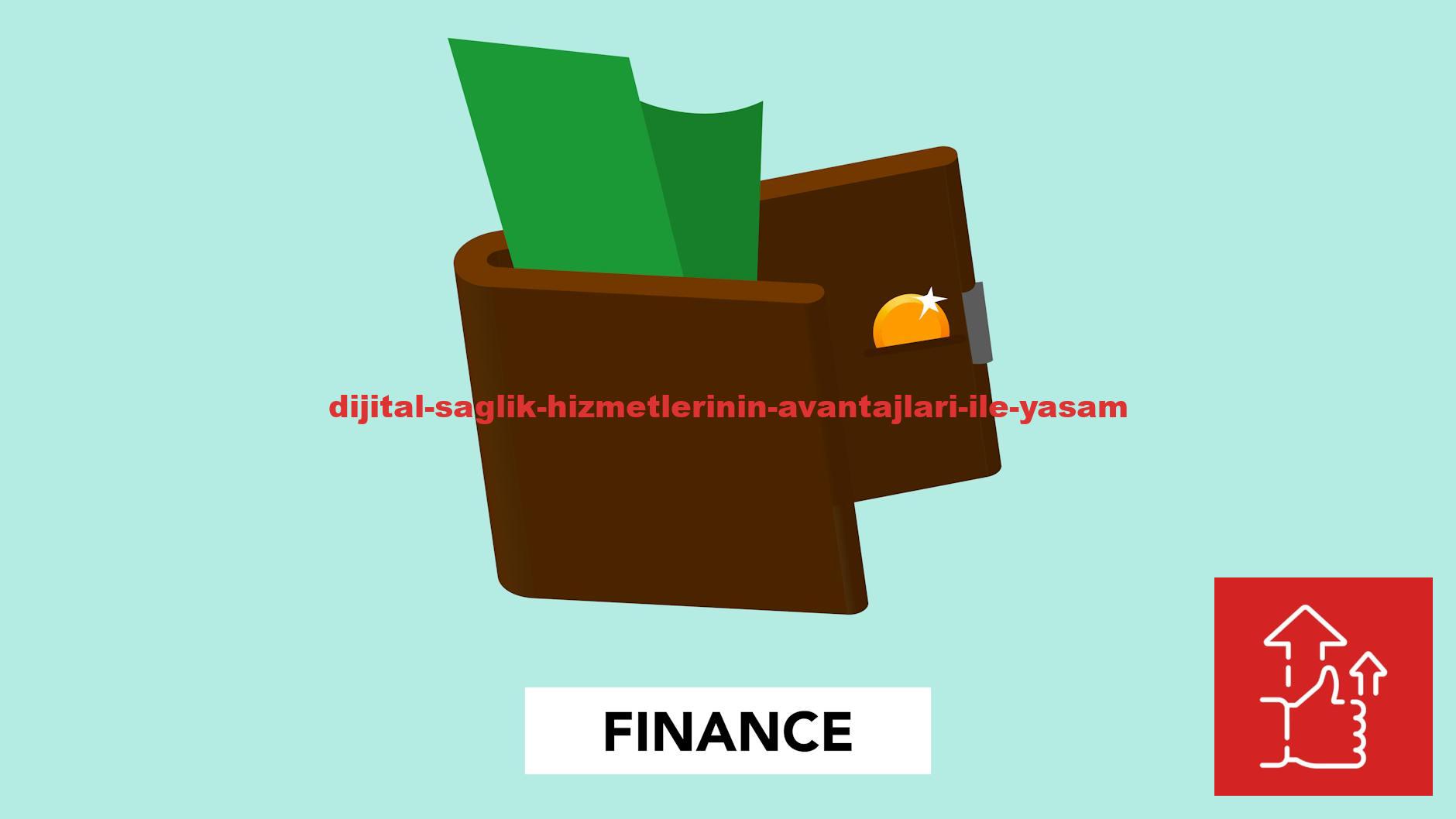 Simple illustration with dollar banknote and coin in wallet above finance inscription on green background