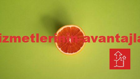 Sanal Sağlık Hizmetlerinin Avantajları ile Yaşam Kalitenizi Artırın