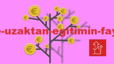 Avantajları ile Uzaktan Eğitimin Faydaları Nasıldır