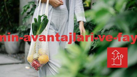 Uzaktan Eğitimin Avantajları ve Faydaları Nasıldır