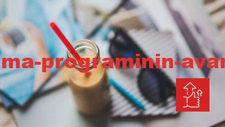 Dijital Pazarlama Programının Avantajları ile Hızla Gelişin